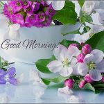 good morning images for someone special