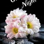 good night photo free for friends family